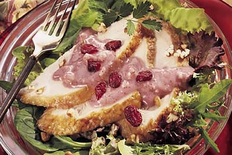 Turkey Salad with Cranberry Feta Cheese Dressing